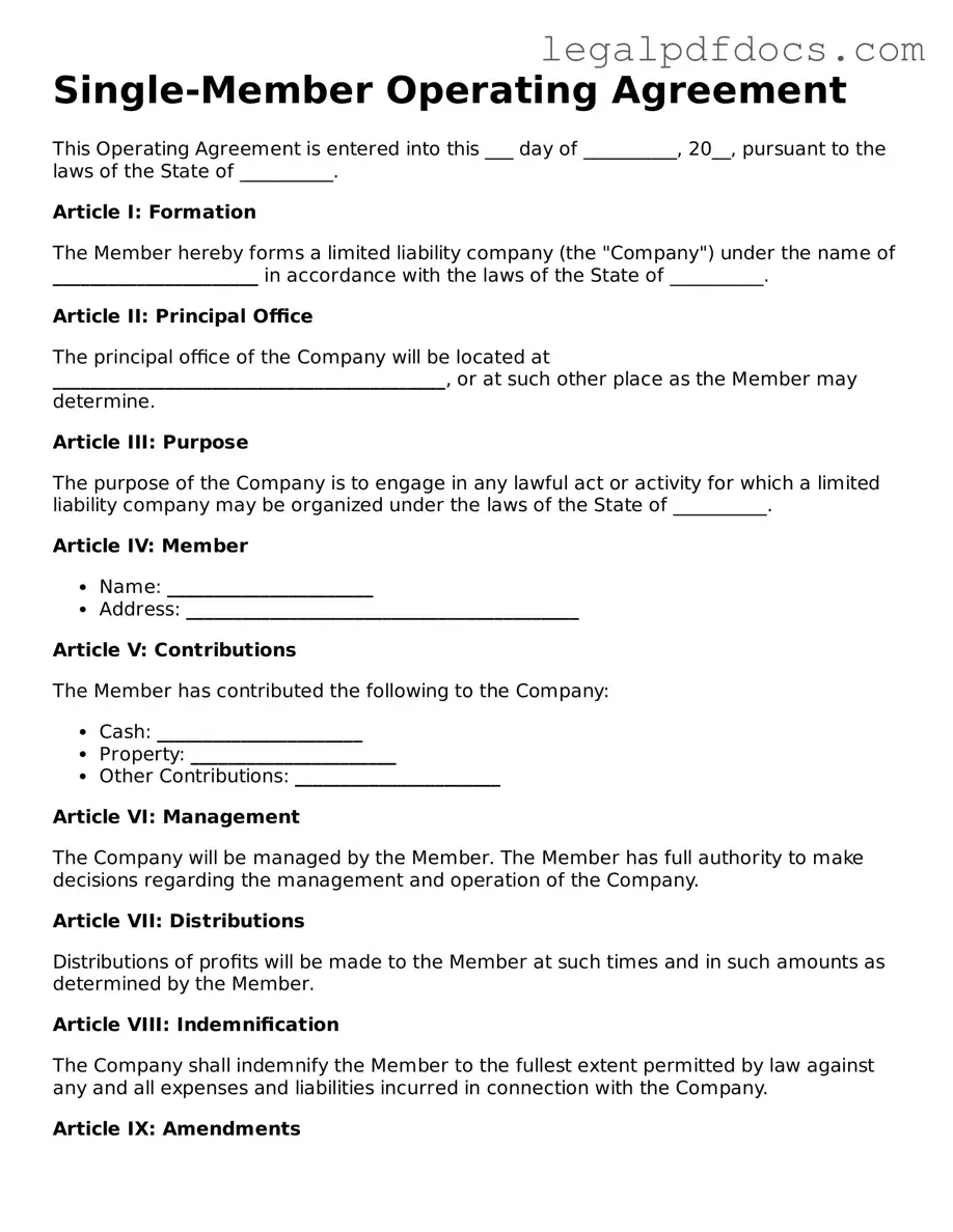 Single-Member Operating Agreement Template