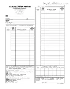 Fill Out a Valid Immunization Record Template