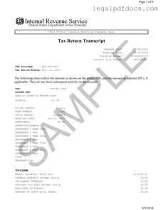 Fill Out a Valid Sample Tax Return Transcript Template