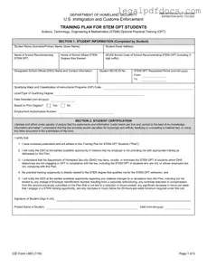 Fill Out a Valid ICE I-983 Template